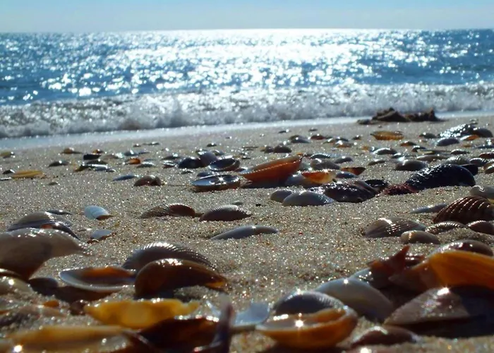 Appartement Nina-superb Town Centre Location *